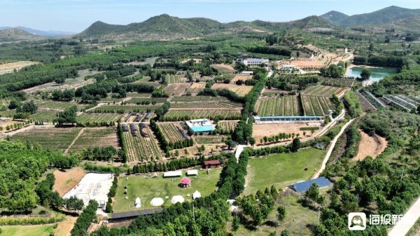 牛配资 以茶为媒 焕发文旅融合新活力