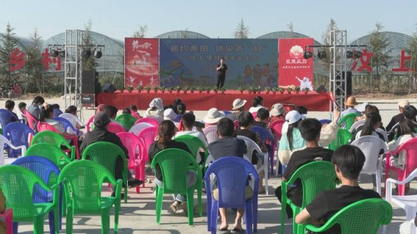 恒汇证券 山东成武：共赴青春同唱梦想 青年音乐节嗨翻全场