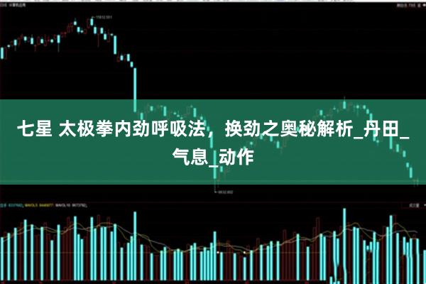 七星 太极拳内劲呼吸法，换劲之奥秘解析_丹田_气息_动作