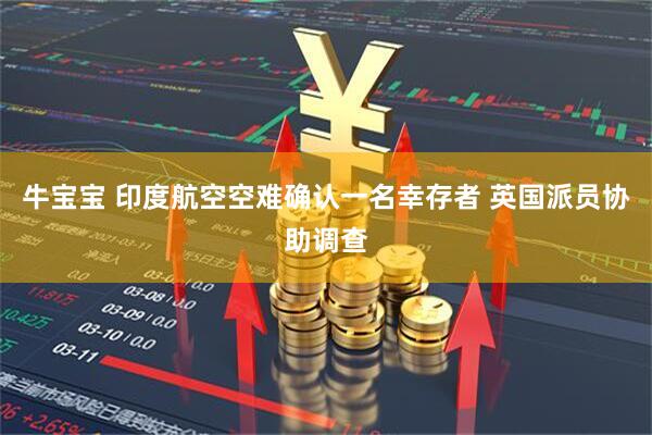 牛宝宝 印度航空空难确认一名幸存者 英国派员协助调查