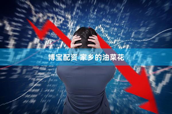 博宝配资 家乡的油菜花